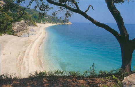 Pelion