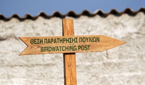 Photo credits: www.discovergreece.com