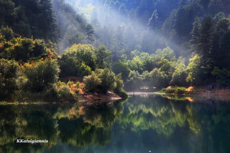 Ιδανικά πρέπει ο συντάκτης να ακολουθεί τους ρυθμούς του φωτογράφου και μόνο σε εξαιρετικές περιπτώσεις ο φωτογράφος κινείται μόνος, όπως εδώ όπου μετά από μία ώρα στη βροχή βγήκε αυτό το αποτέλεσμα. Λίμνη Τσιβλού