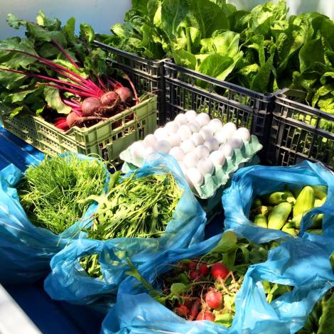 Αγνά υλικά από το τη φάρμα του Ποσειδωνίου